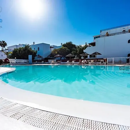 Papillon Costa Teguise